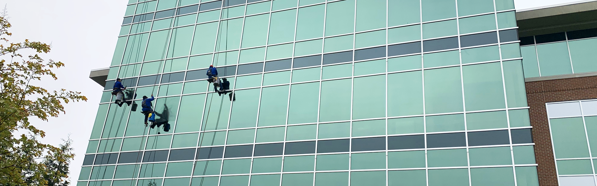 Window Washing - Corporate Office building
